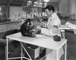 Illustration for article titled Can technology help us put an end to animal experimentation?